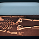 The male Neanderthal skeleton La Ferrassie 1 at Paris’ Musee de l’Homme in 2018.